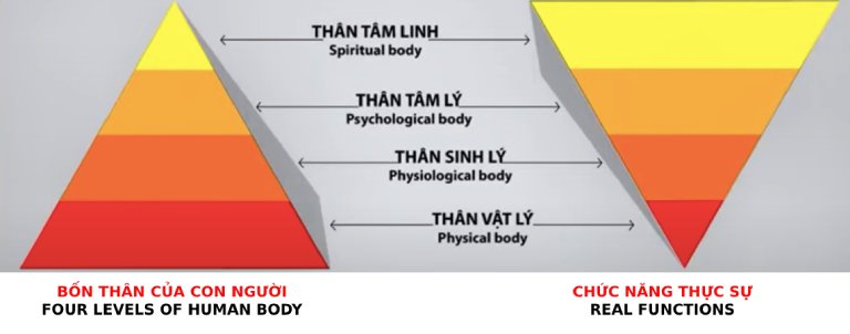 Bốn phần thân của con người