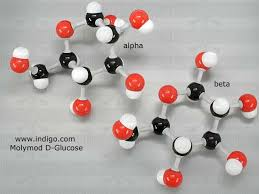 Glucose